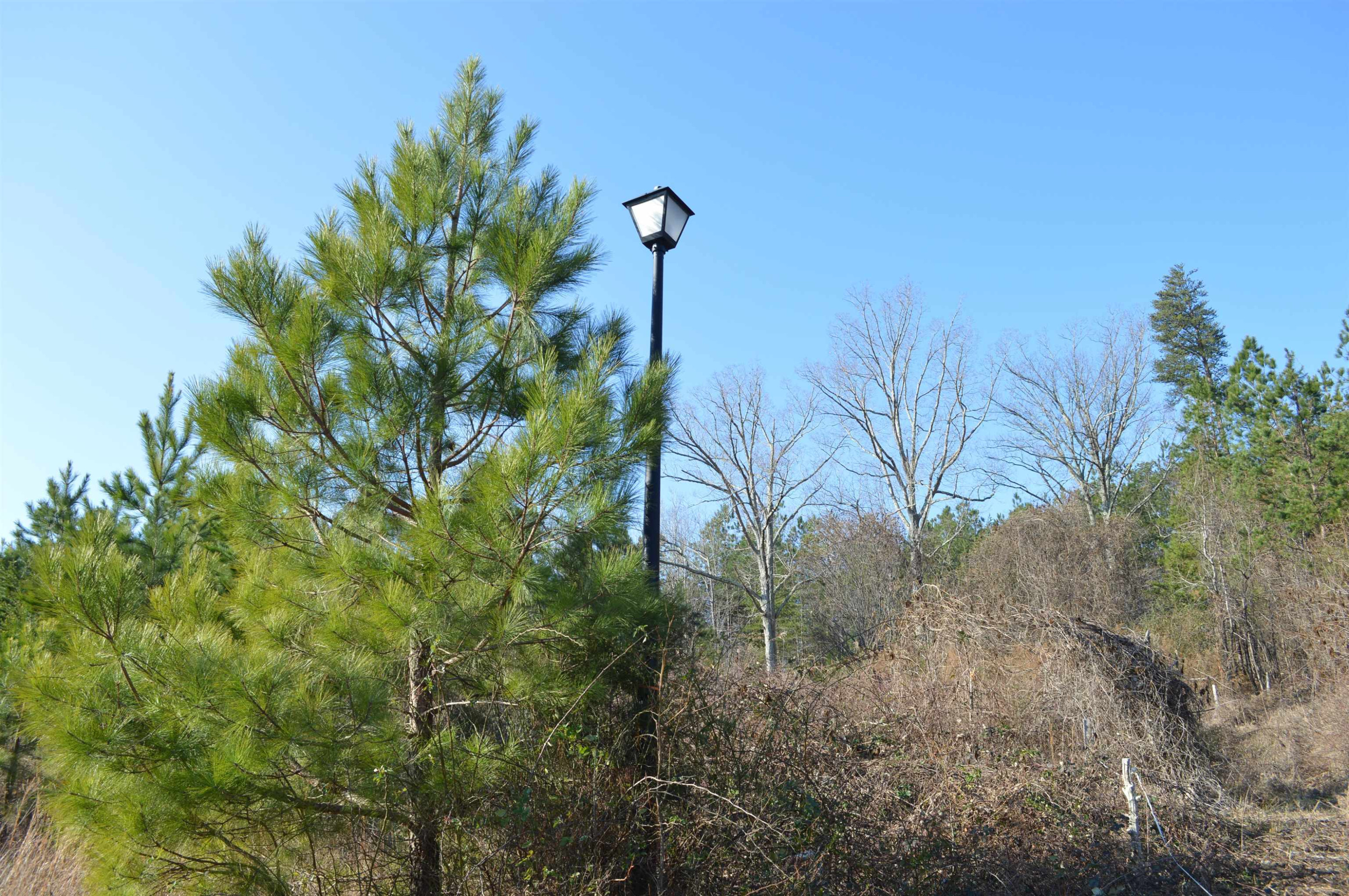 220 Pointe Drive Roxboro, NC 27574 - Photo 2 of 14 Photo 2