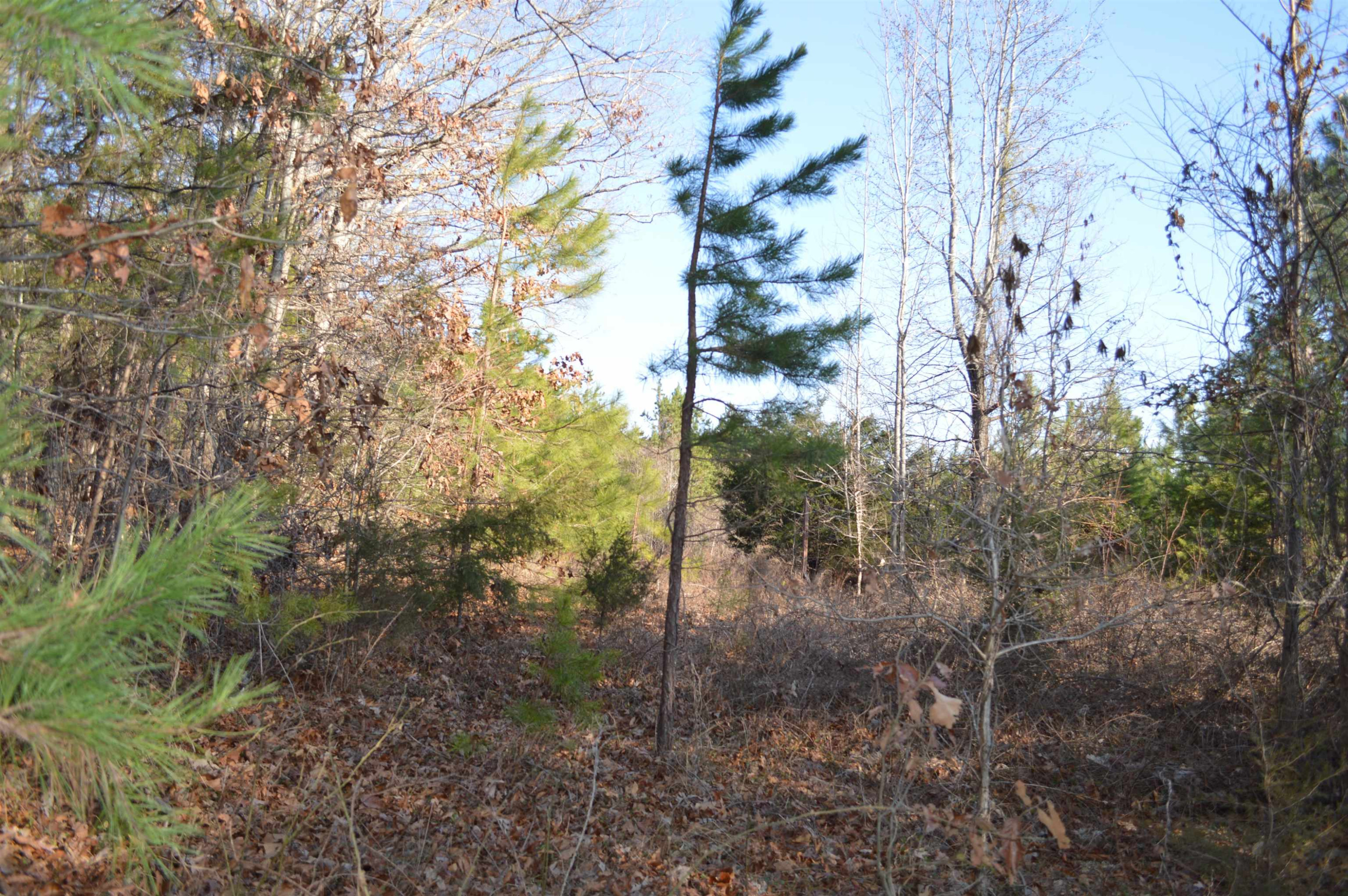 220 Pointe Drive Roxboro, NC 27574 - Photo 4 of 14 Photo 4