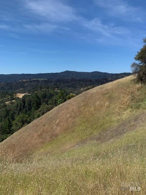 2100 Big Ridge Road Healdsburg, CA 95448 - Photo 17 of 20 a view of a field with an ocean