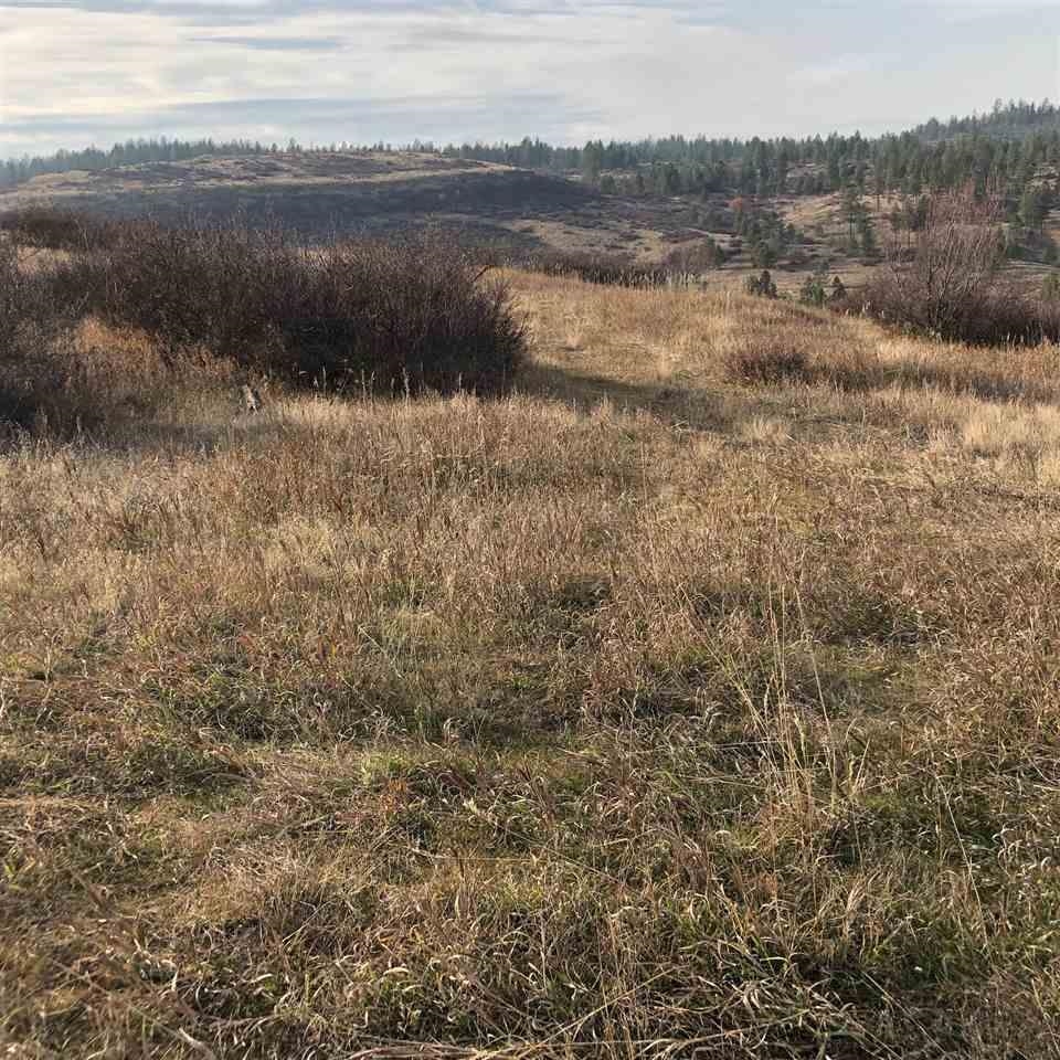 18400 North Valley Road, Unit APPROX Nine Mile Falls, WA 99026 - Photo 19 of 20 Gallery Image 19