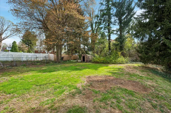 a view of outdoor space with deck and trees