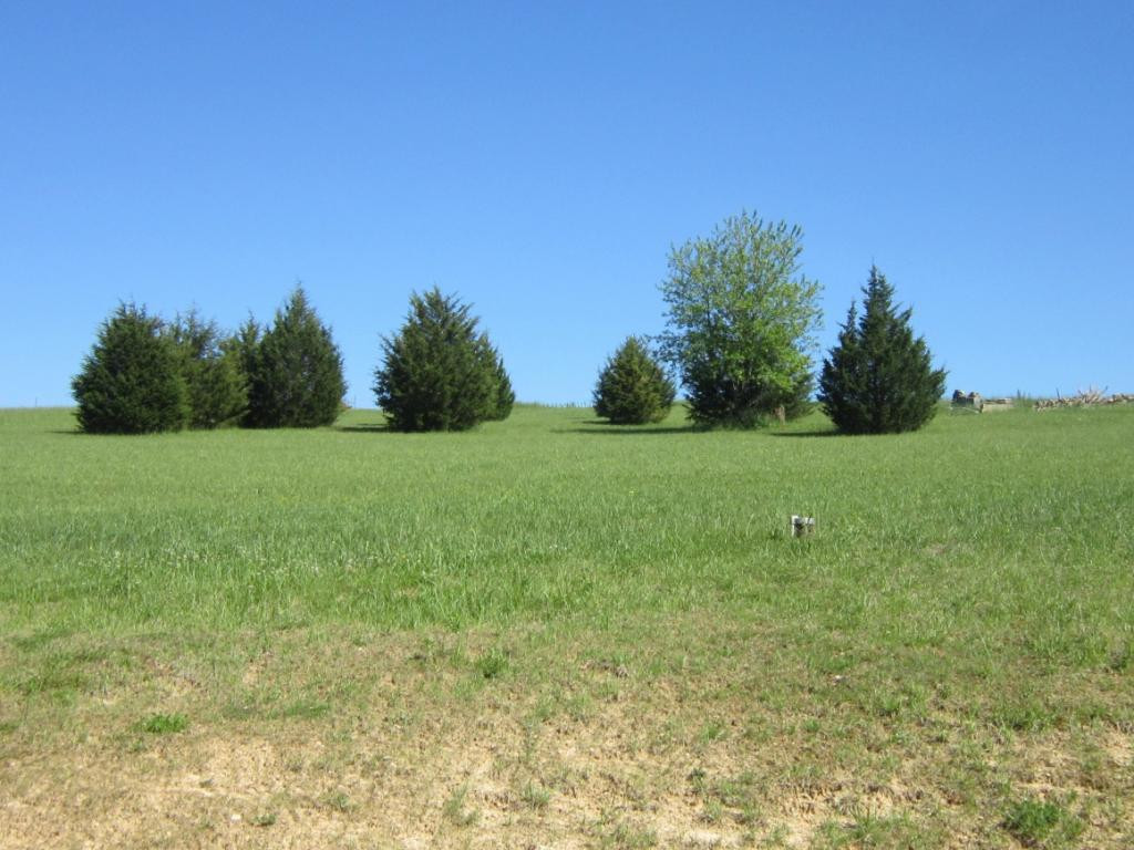 168 Brobeck Road Limestone, TN 37681 - Photo 28 of 28 Back of Home