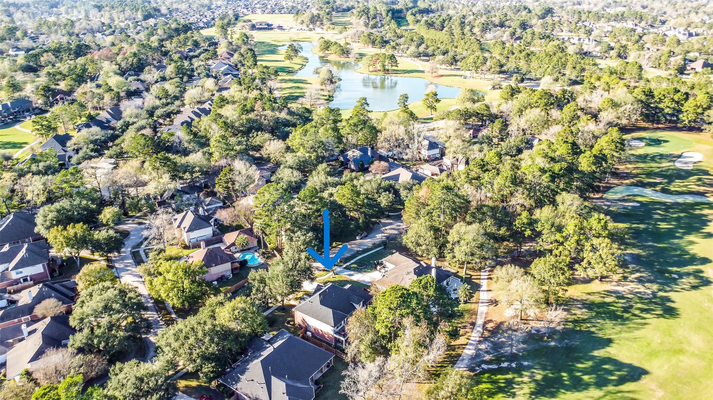 25247 Bull Ridge Drive Porter, TX 77365 - Photo 40 of 50