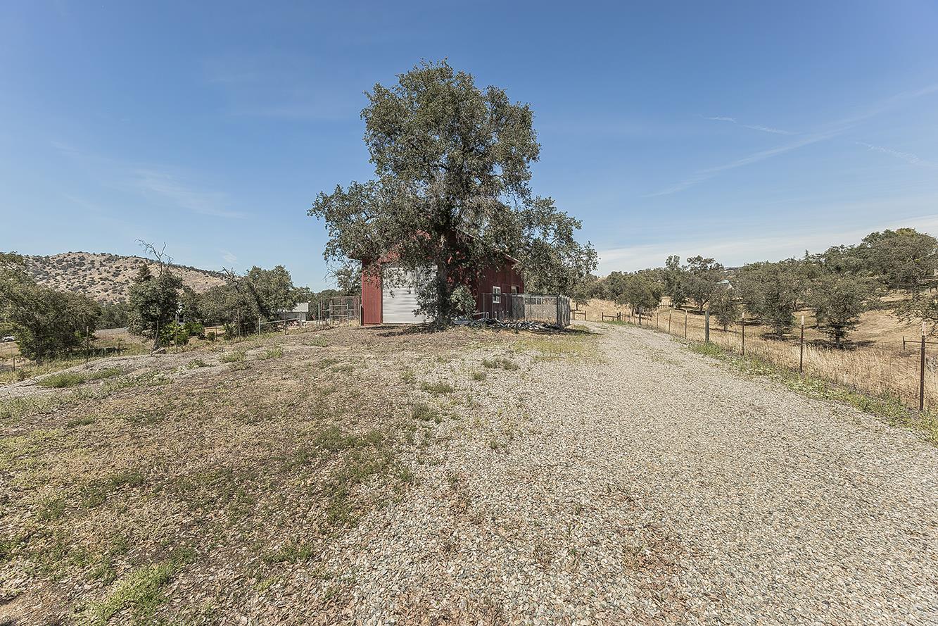 14815 Garlock Lane Prather, CA 93651 - Photo 52 of 80 a view of road view with large trees