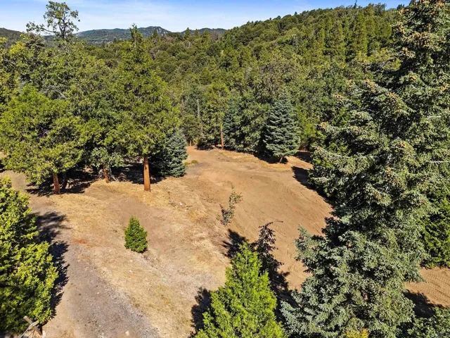 a view of a yard with a tree