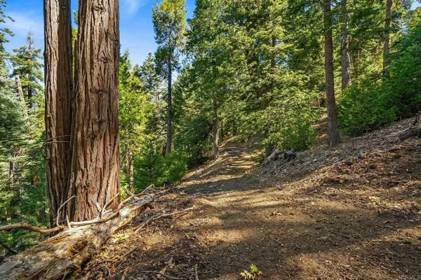 $339,000 | 22520 Greenfield Way, Palomar Mountain, CA 92060