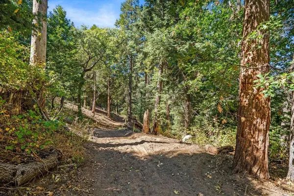 $339,000 | 22520 Greenfield Way, Palomar Mountain, CA 92060