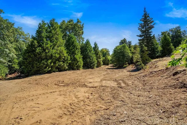a view of a backyard of the house