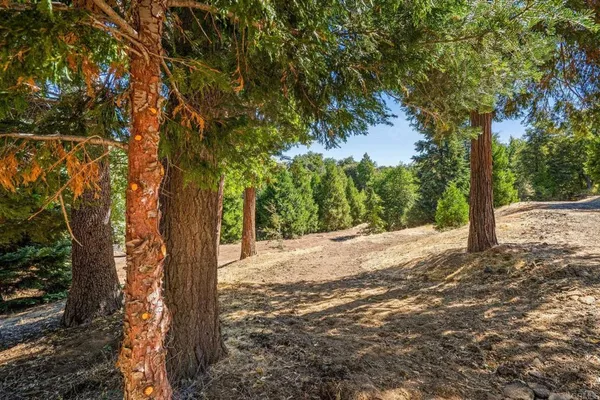 $339,000 | 22520 Greenfield Way, Palomar Mountain, CA 92060