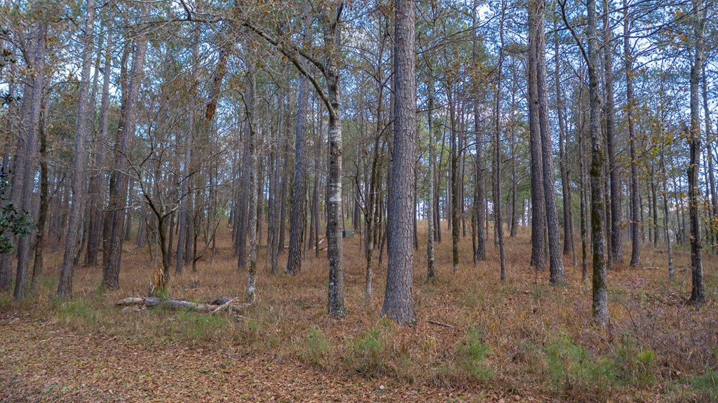 7600 Rolling Bend Road Columbus, GA 31904 - Photo 10 of 15