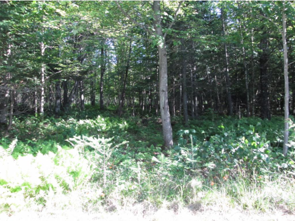 Lot C Haynes Road Stewartstown, NH 03576 - Photo 1 of 1 Gallery Image 1