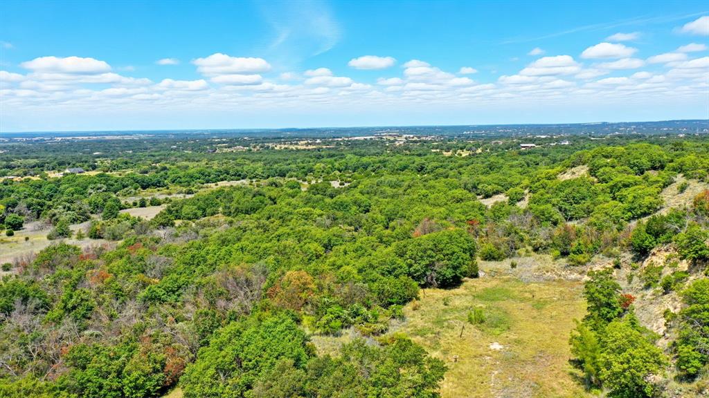 395 Pepper Lane Weatherford, TX 76088 - Photo 10 of 24 Aerial view of a heavily wooded area