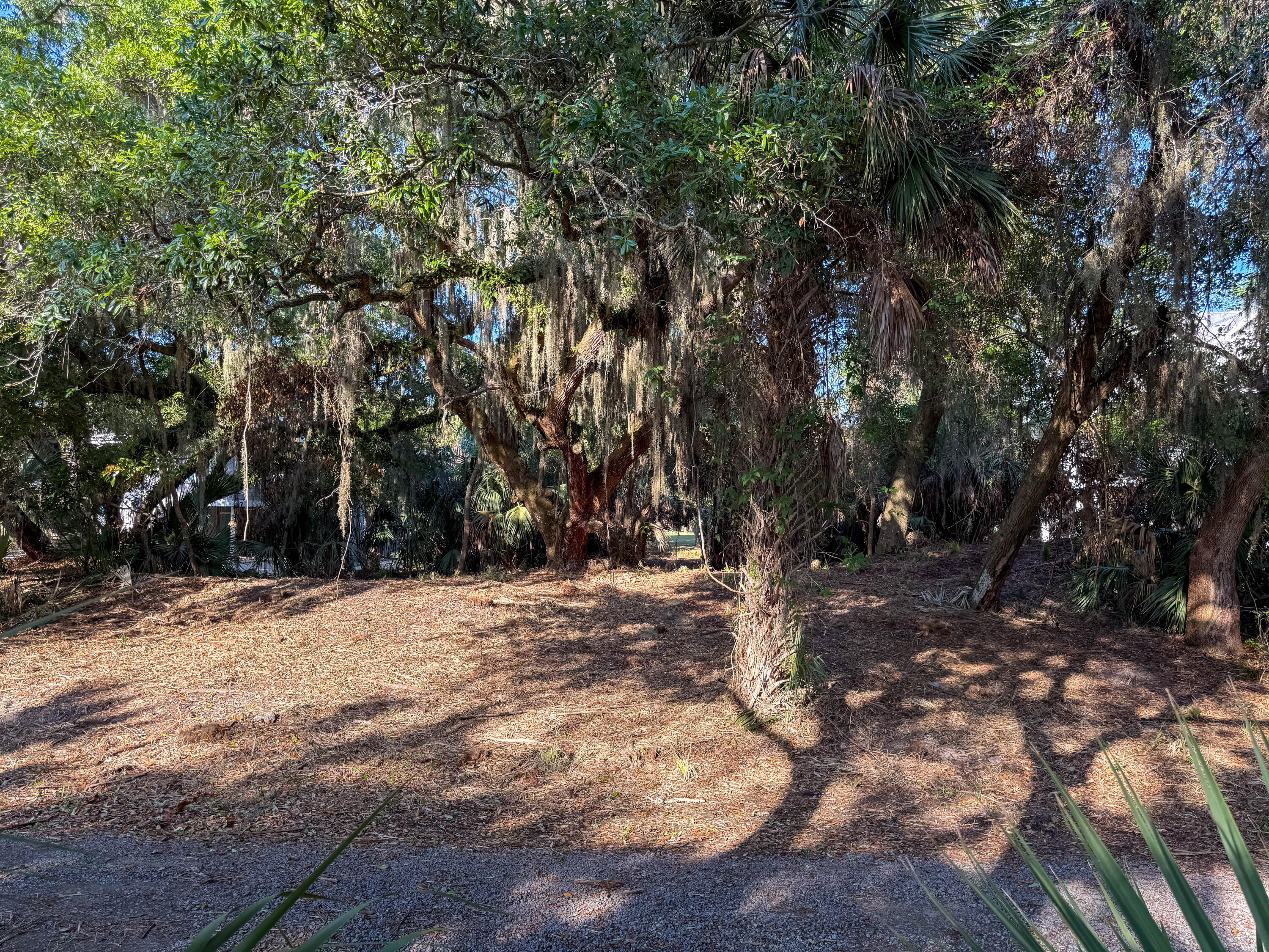 3303 Fort Street Edisto Island, SC 29438 - Photo 19 of 27 Fort-Lot-15