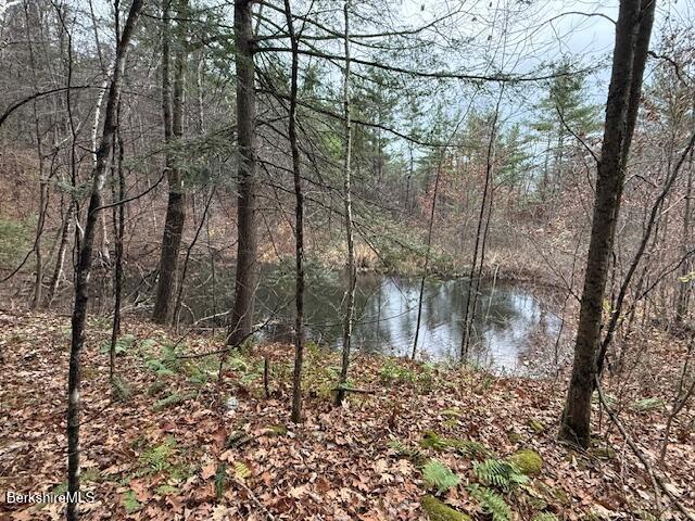 34 Ny Route Petersburg, NY 12138 - Photo 15 of 59 Spring-fed pond water source