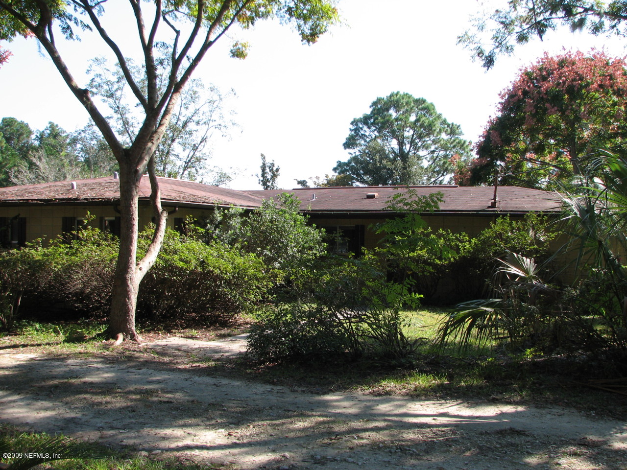 6849 Southeast 35th Street Keystone Heights, FL 32656 - Photo 3 of 4 a view of a garden with plants and large trees