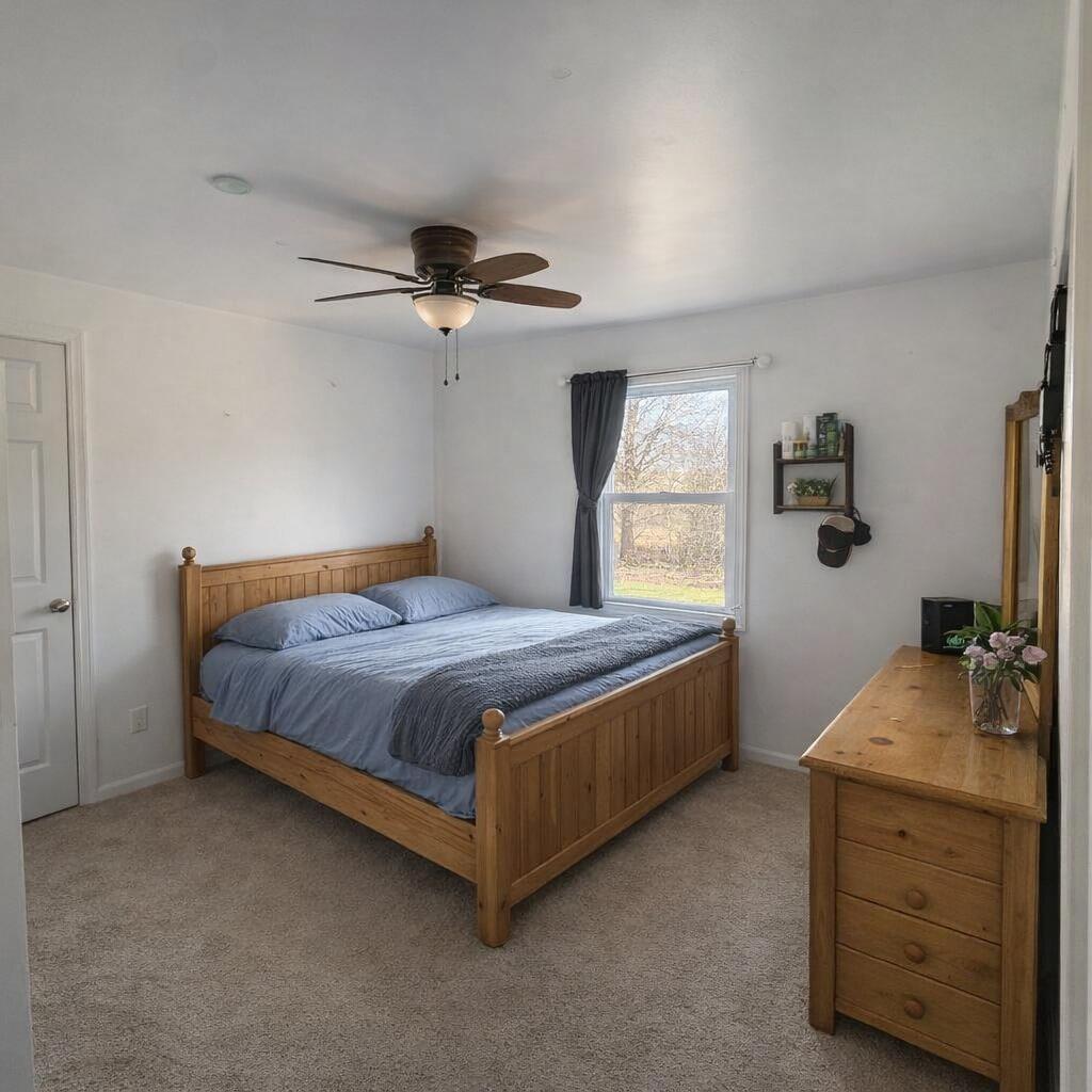 4250 Mud Lake Road Bellevue, MI 49021 - Photo 5 of 6 0278181f-00c0-418f-ab37-0a4e20315096