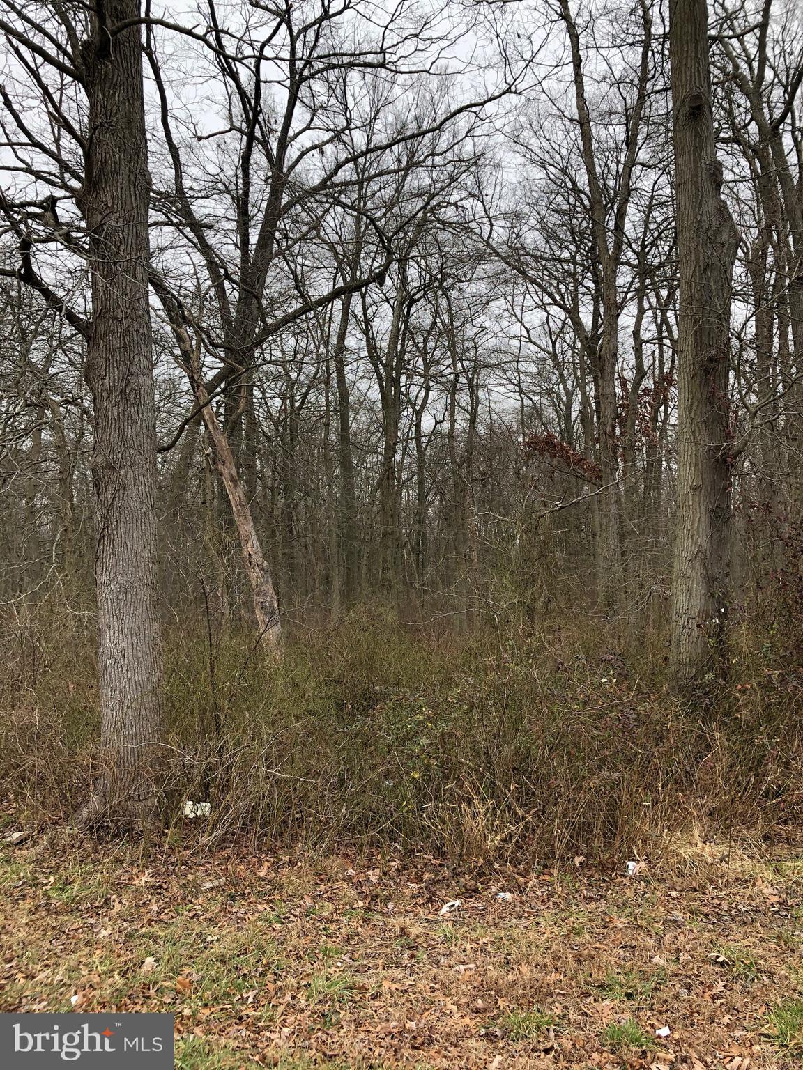 1003 Harding Highway Carneys Point, NJ 08069 - Photo 1 of 7 Gallery Image 1