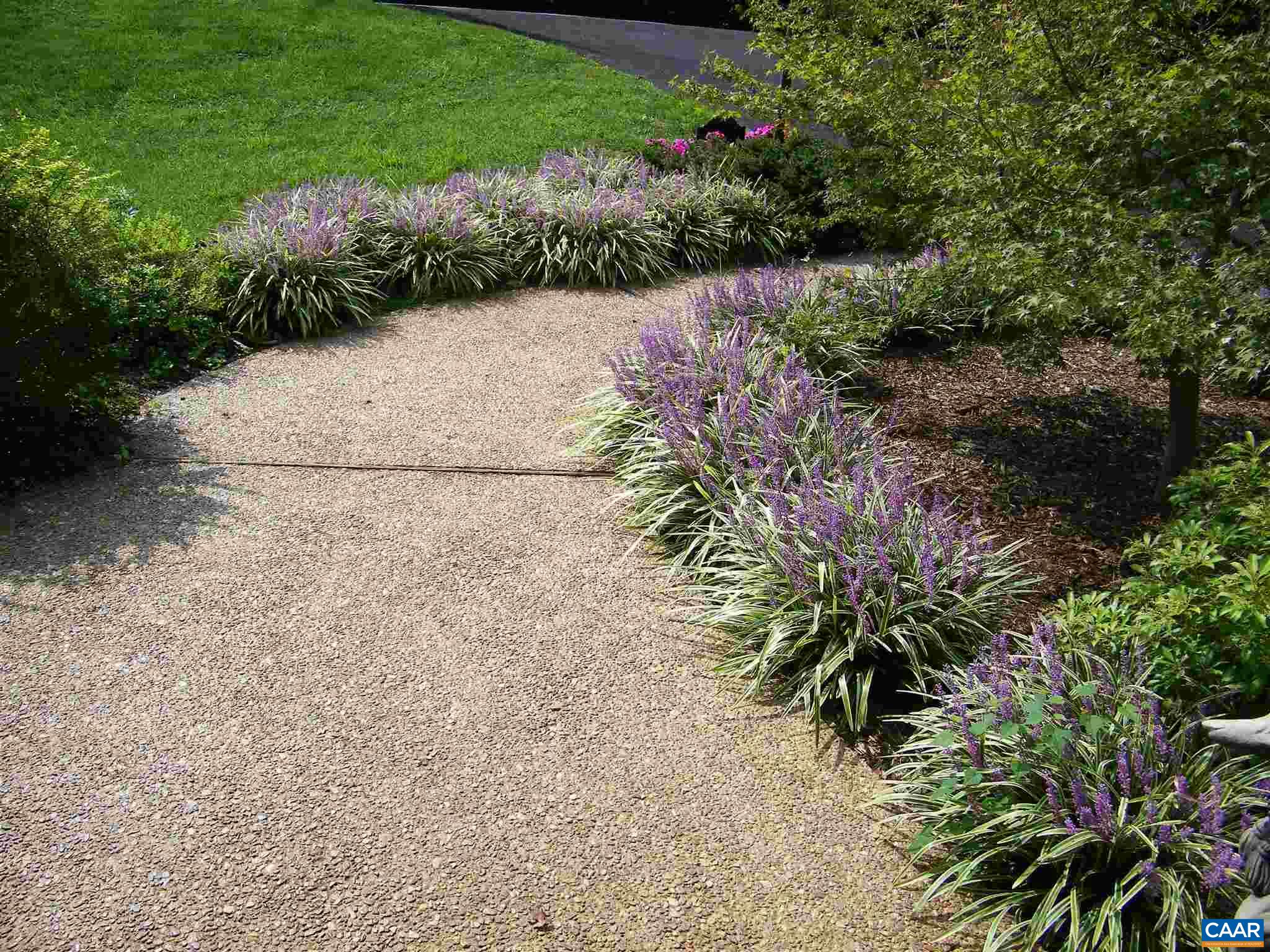 3 Old Farm Road Charlottesville, VA 22903 - Photo 3 of 66 a view of a garden with plants and large trees