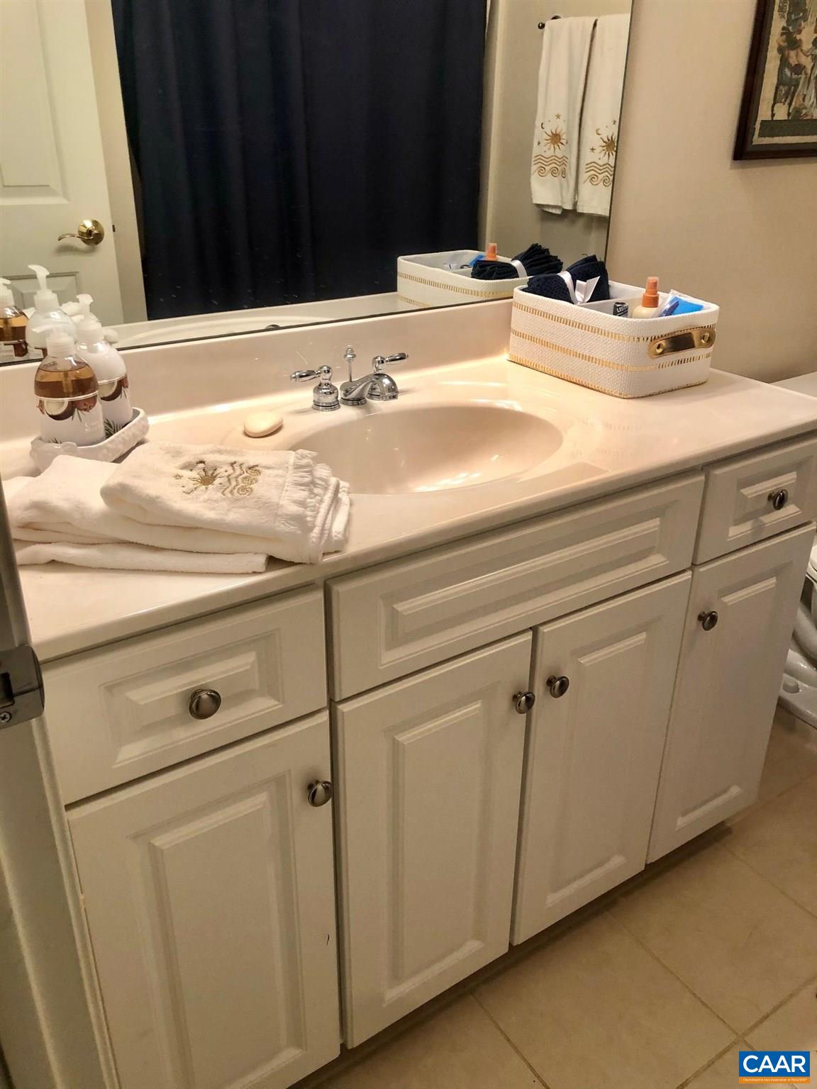 3 Old Farm Road Charlottesville, VA 22903 - Photo 53 of 66 a bathroom with a sink and a mirror
