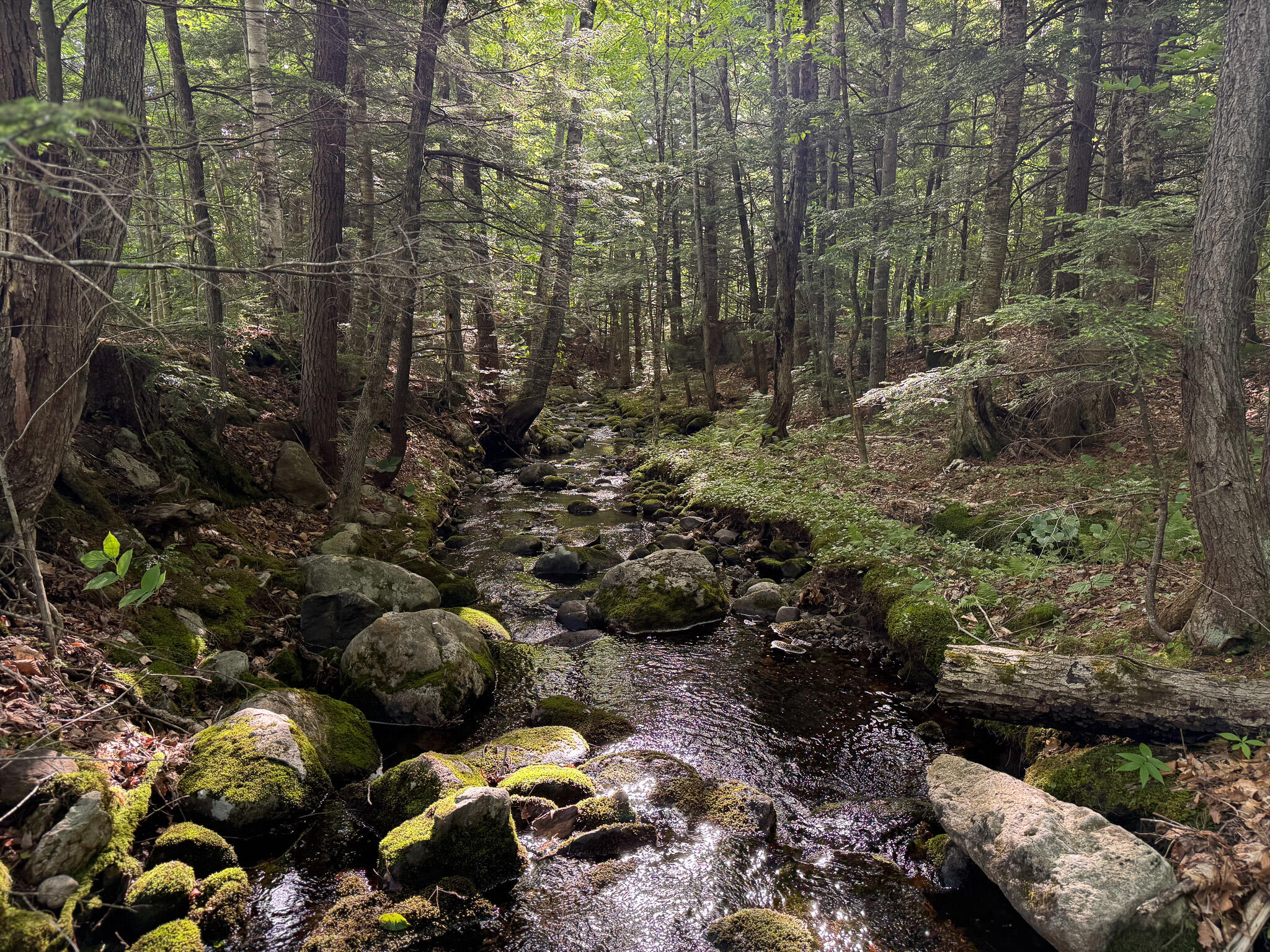 10 Map Road Peru, ME 04290 - Photo 4 of 21