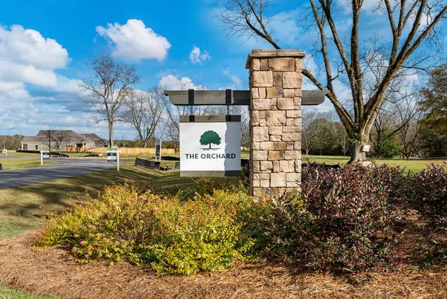 a view of a fountain in middle of the road