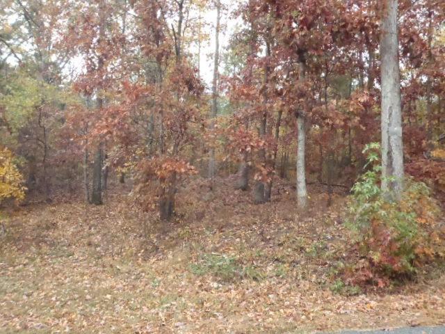 0 Ho Hum Hollow Road, Unit LOT 4 Monroe, GA 30655 - Photo 1 of 1 a backyard of a house with lots of green space
