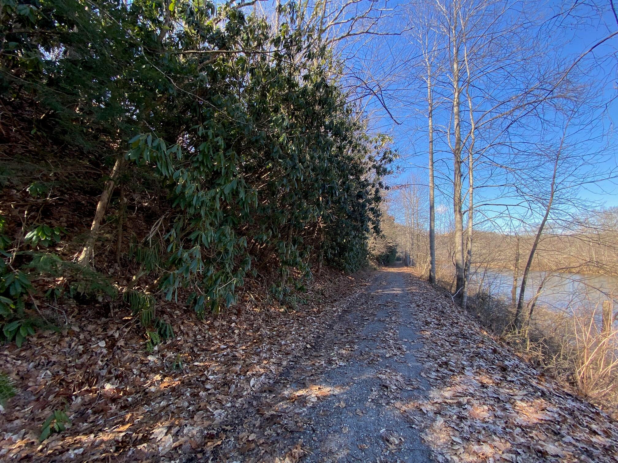 Lot 2 Spice Run Road Hillsboro, WV 24946 - Photo 40 of 68 Gallery Image 40