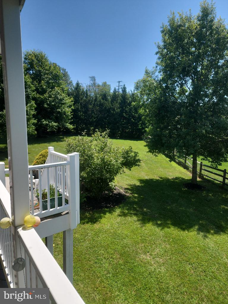 43417 Cedar Place Chantilly, VA 20152 - Photo 2 of 24 Lush green retreat under a clear sky.