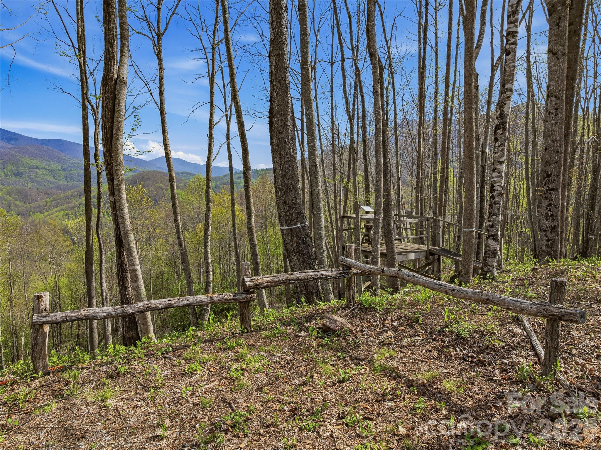 227 Flying Dutchman Road Sylva, NC 28779 - Photo 11 of 31