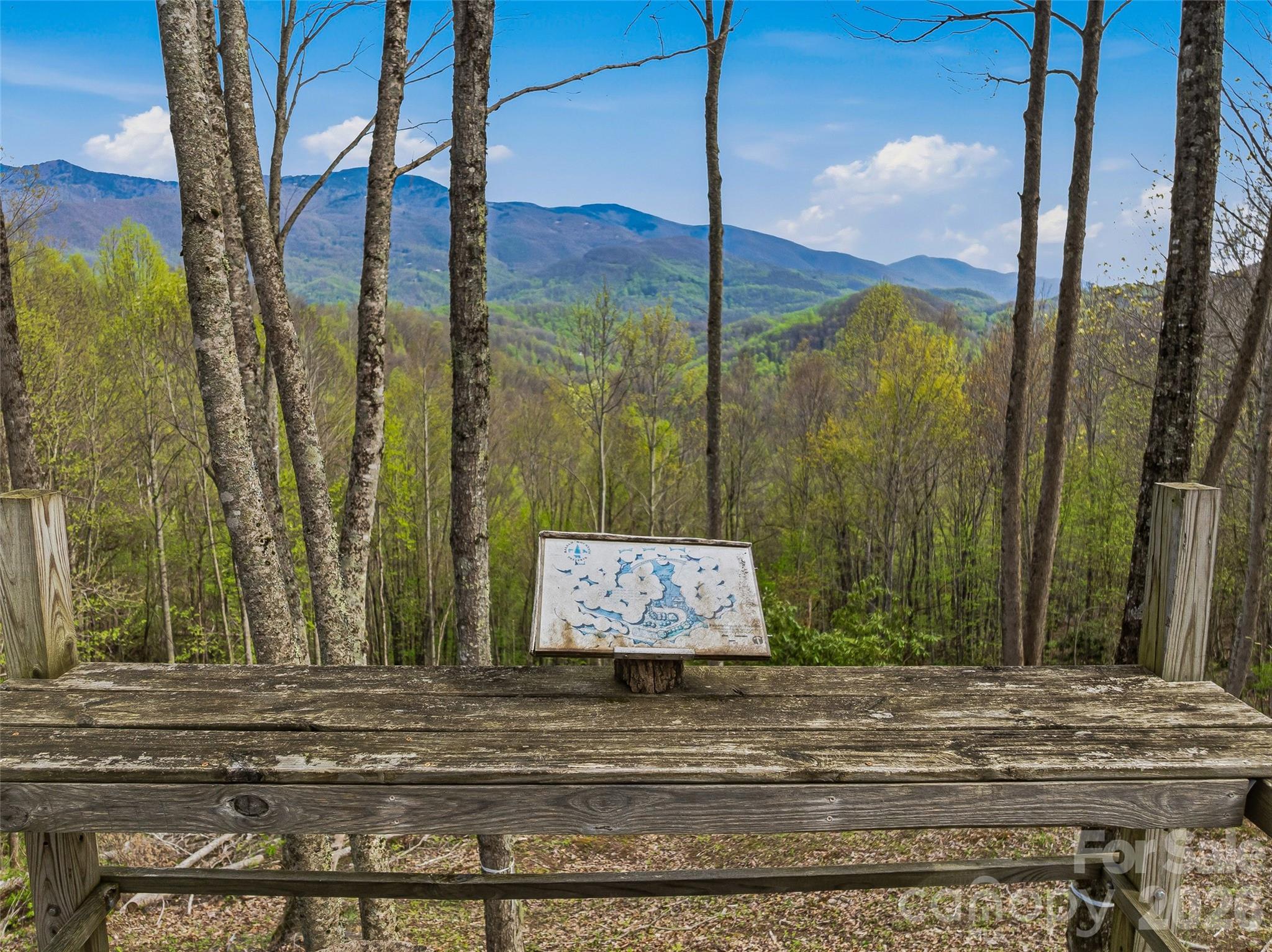 227 Flying Dutchman Road Sylva, NC 28779 - Photo 13 of 31