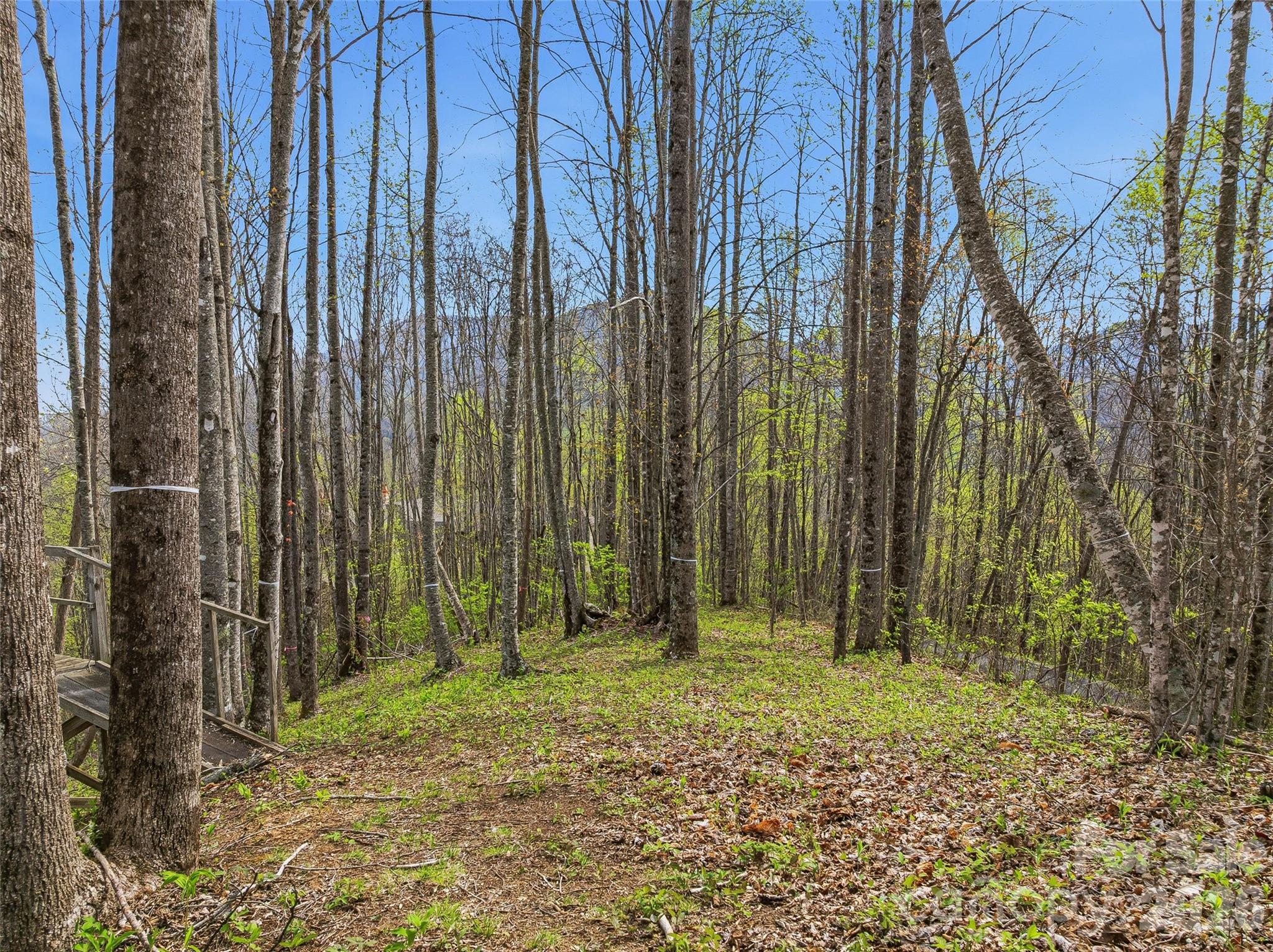 227 Flying Dutchman Road Sylva, NC 28779 - Photo 14 of 31