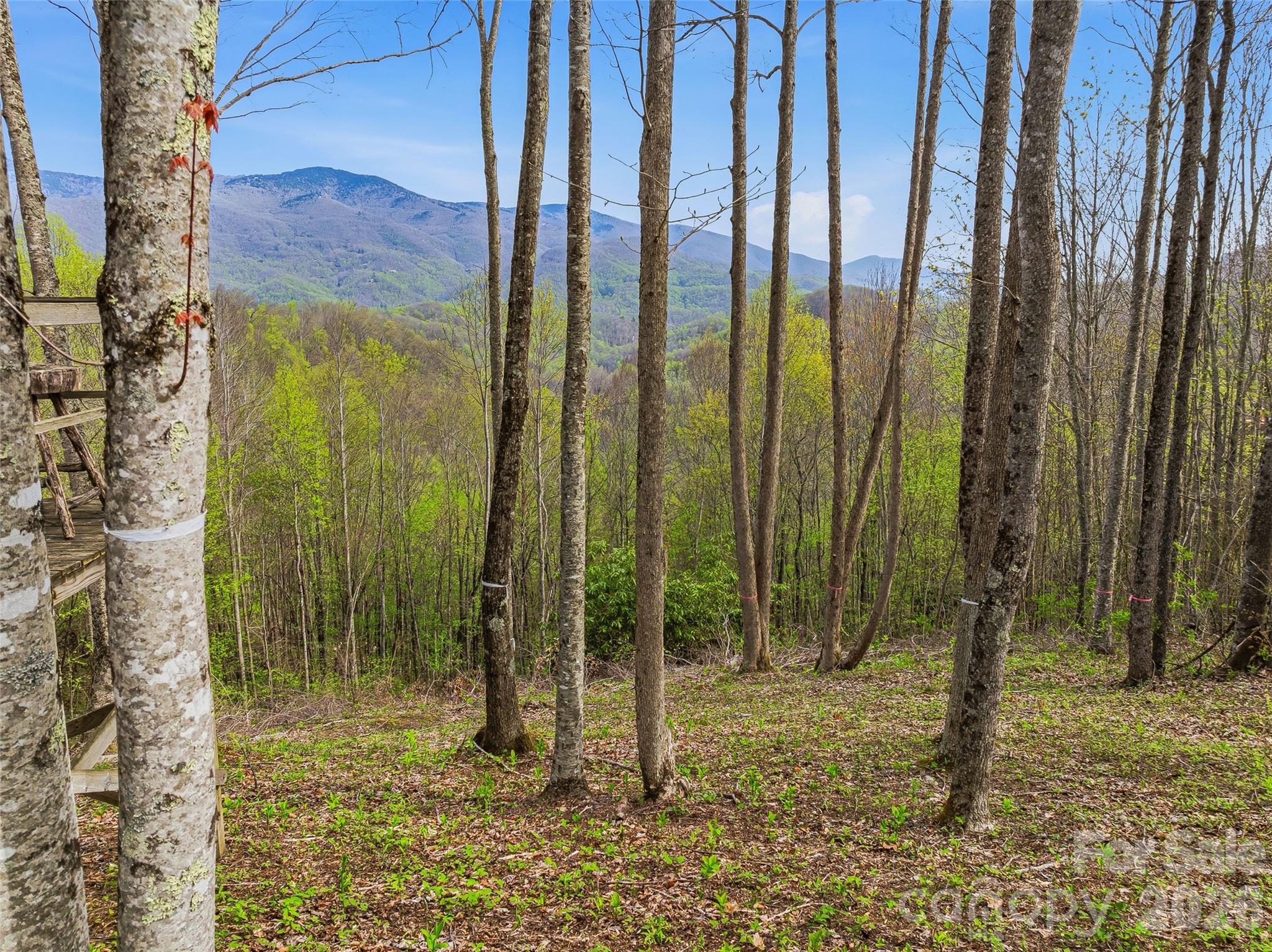 227 Flying Dutchman Road Sylva, NC 28779 - Photo 15 of 31