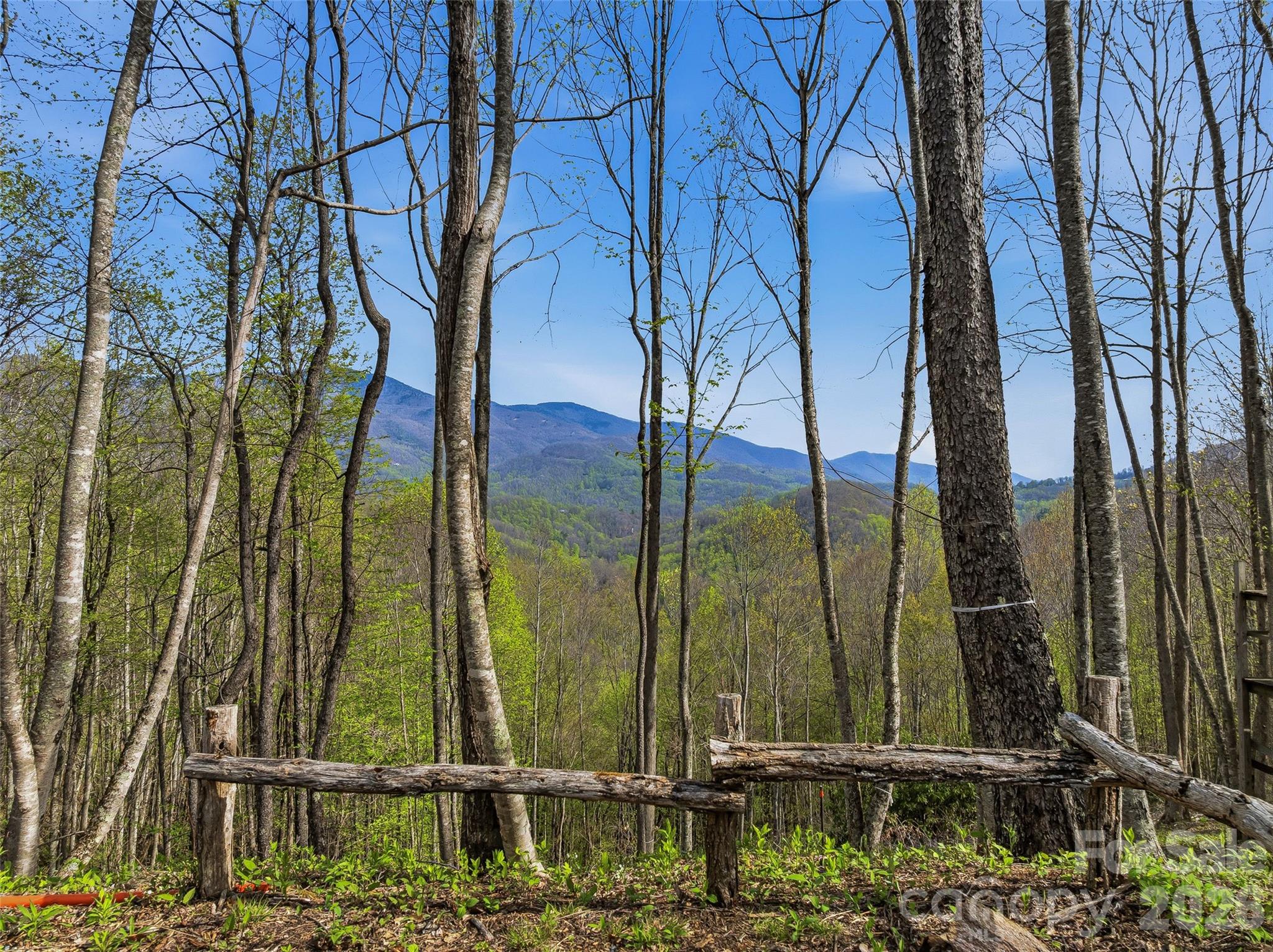 227 Flying Dutchman Road Sylva, NC 28779 - Photo 17 of 31