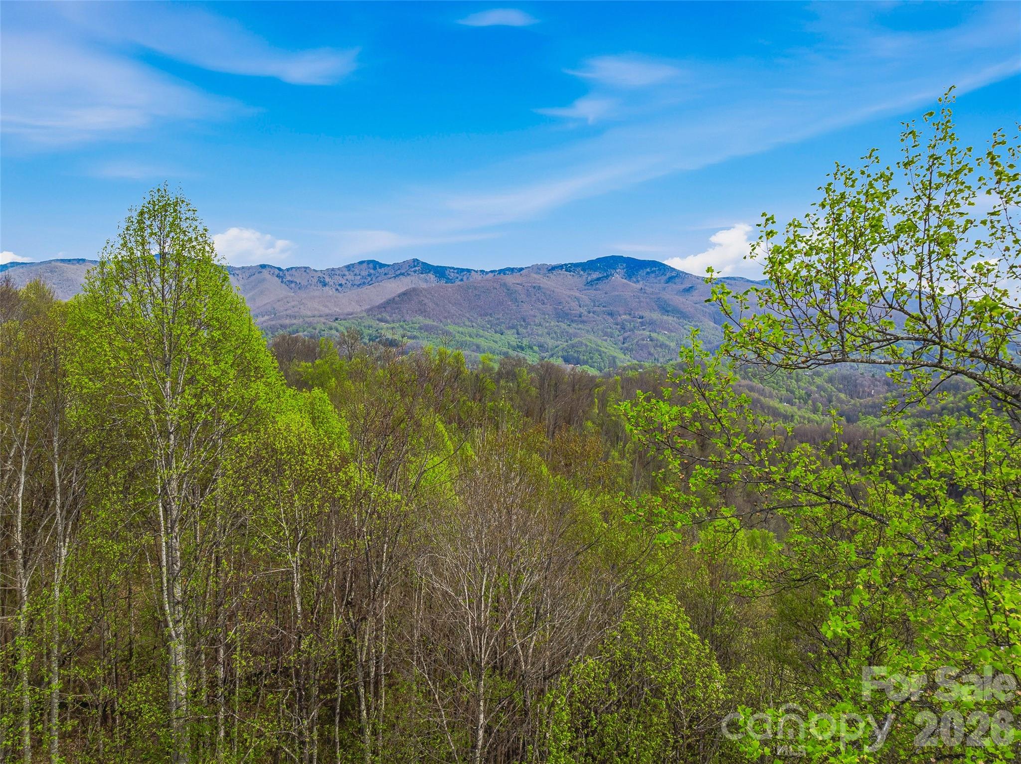 227 Flying Dutchman Road Sylva, NC 28779 - Photo 18 of 31