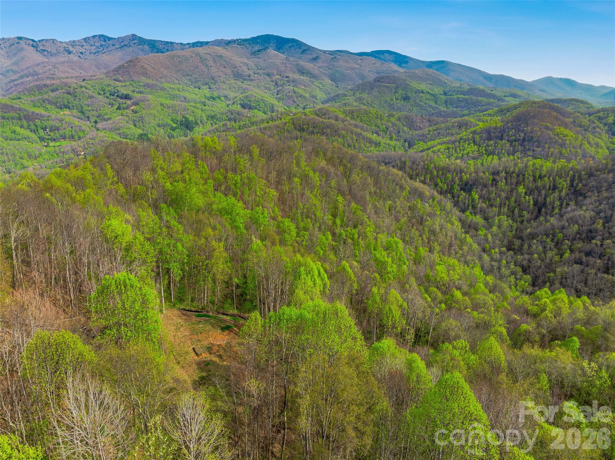 227 Flying Dutchman Road Sylva, NC 28779 - Photo 19 of 31