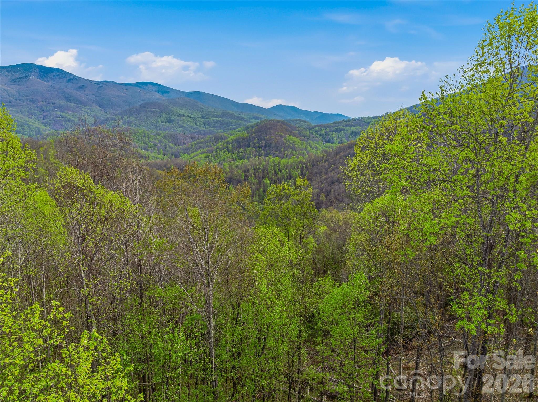 227 Flying Dutchman Road Sylva, NC 28779 - Photo 20 of 31
