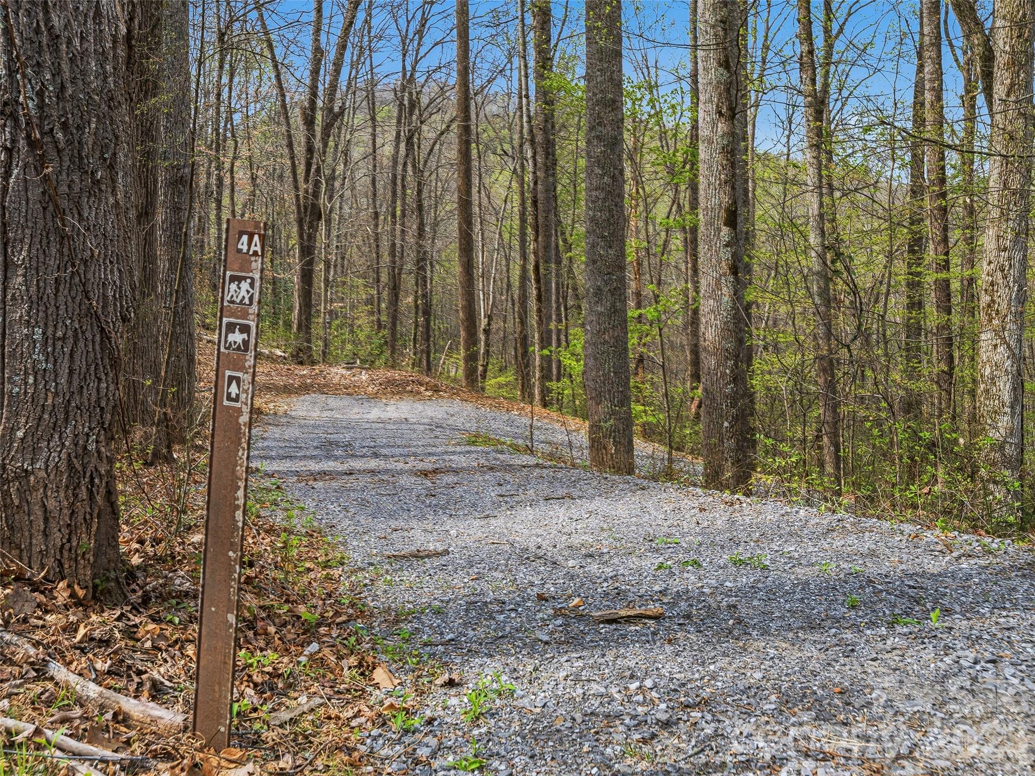 227 Flying Dutchman Road Sylva, NC 28779 - Photo 31 of 31