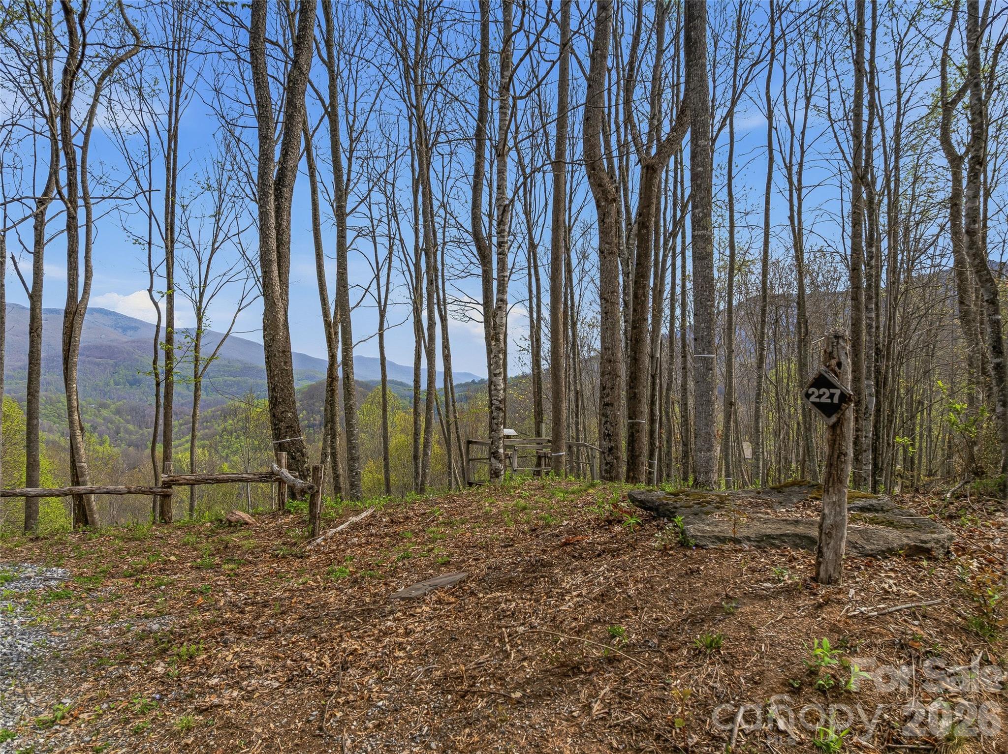 227 Flying Dutchman Road Sylva, NC 28779 - Photo 9 of 31