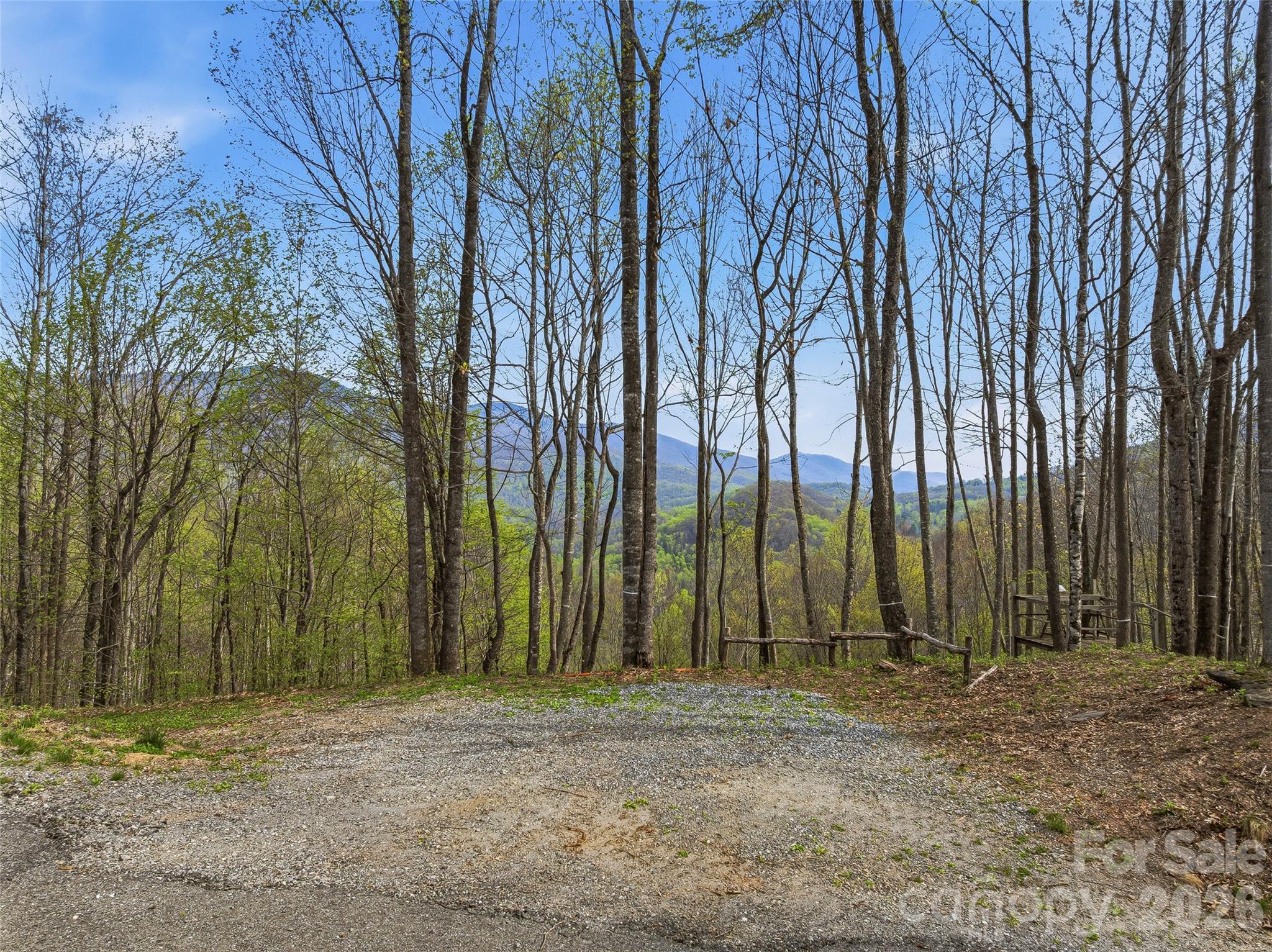 227 Flying Dutchman Road Sylva, NC 28779 - Photo 10 of 31