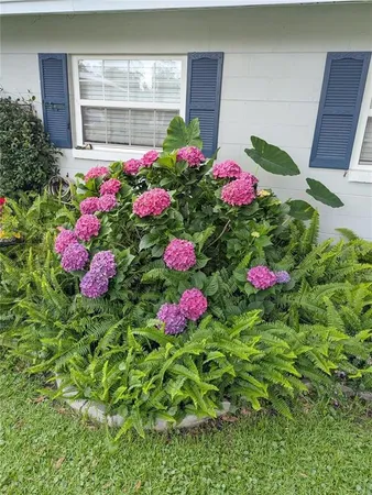 a view of a flower in a garden