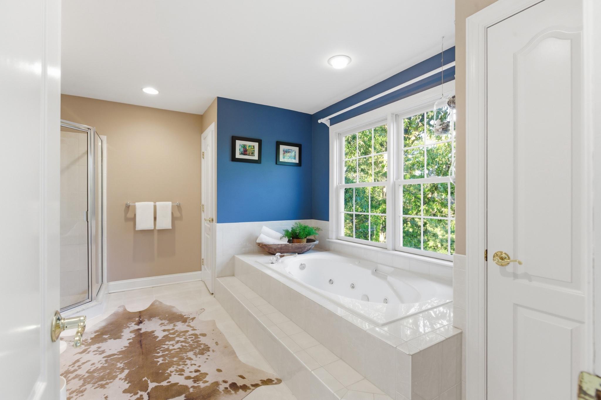 1219 Meadow View Road Pasadena, MD 21122 - Photo 29 of 70 Primary Suite serene spa-like bathroom retreat.