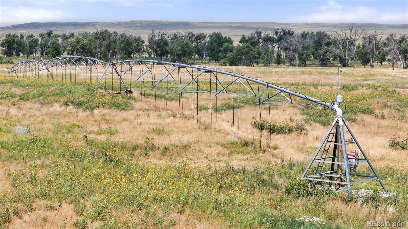0 Resolis Road Matheson, CO 80830 - Photo 14 of 49 a view of a backyard