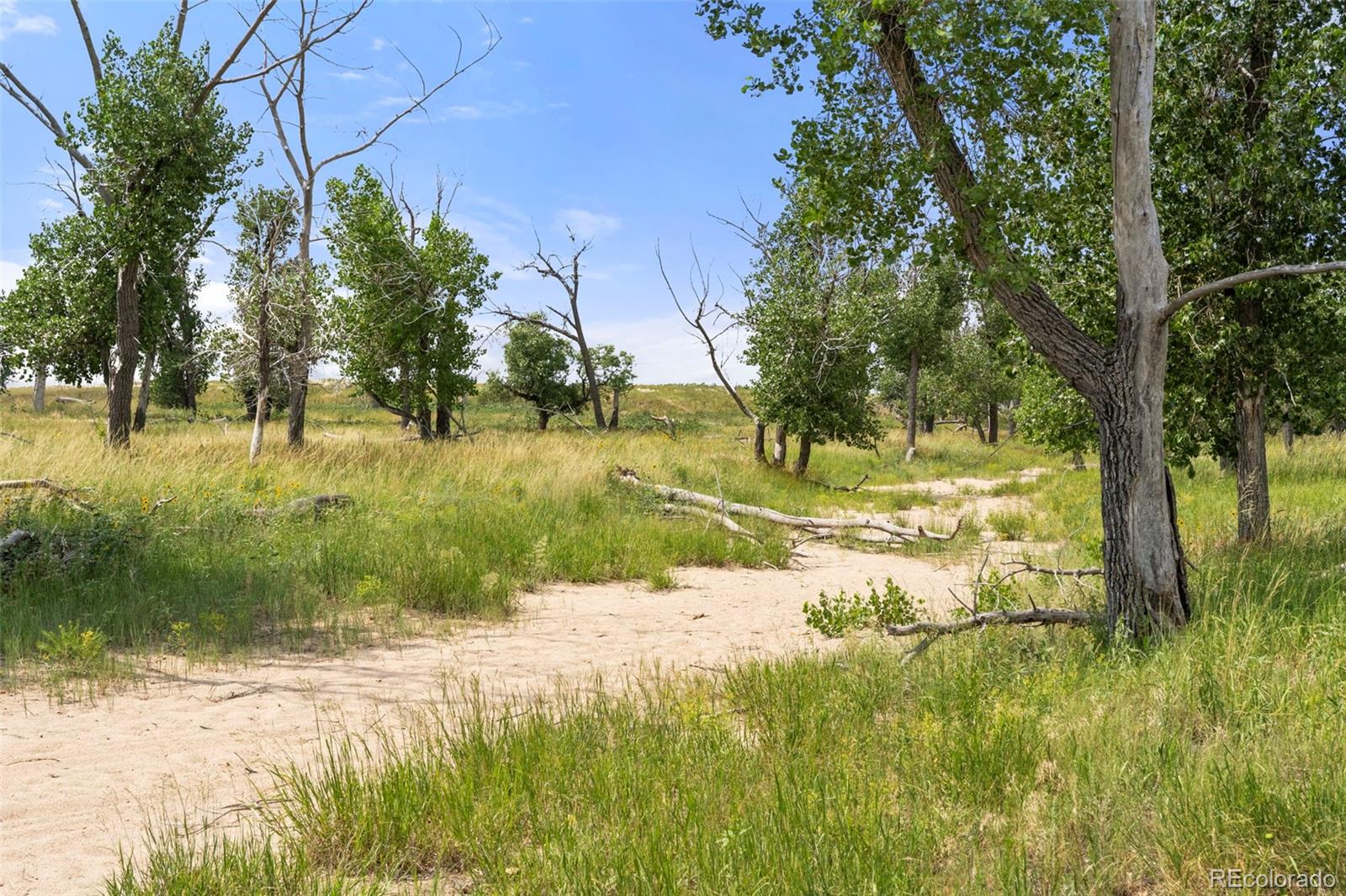 0 Resolis Road Matheson, CO 80830 - Photo 17 of 49 a view of a yard