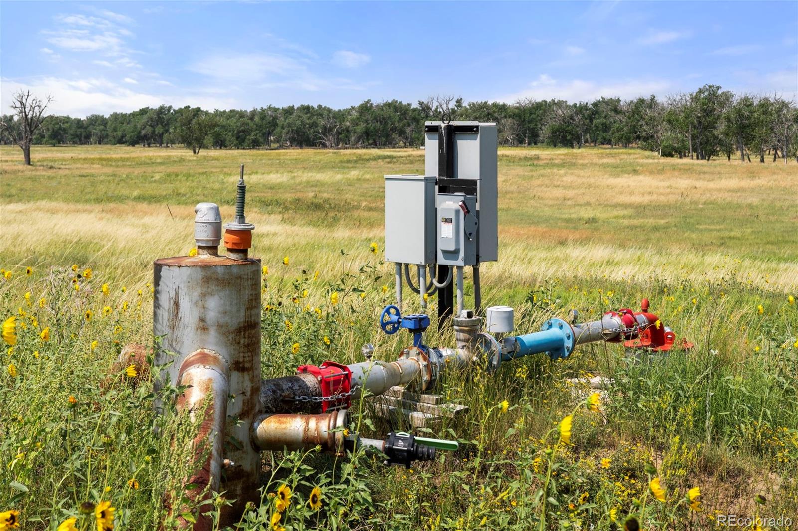 0 Resolis Road Matheson, CO 80830 - Photo 27 of 49 a front view of a house with a lake view
