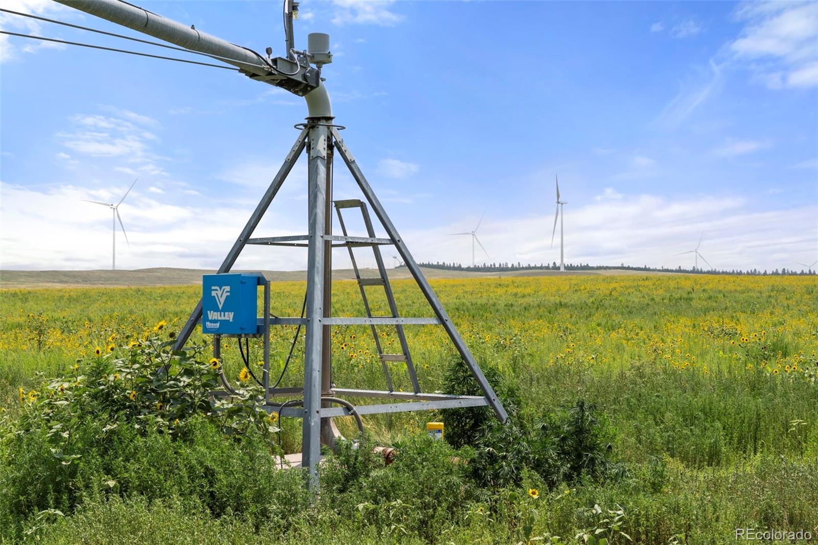 0 Resolis Road Matheson, CO 80830 - Photo 37 of 49 a view of a ocean view