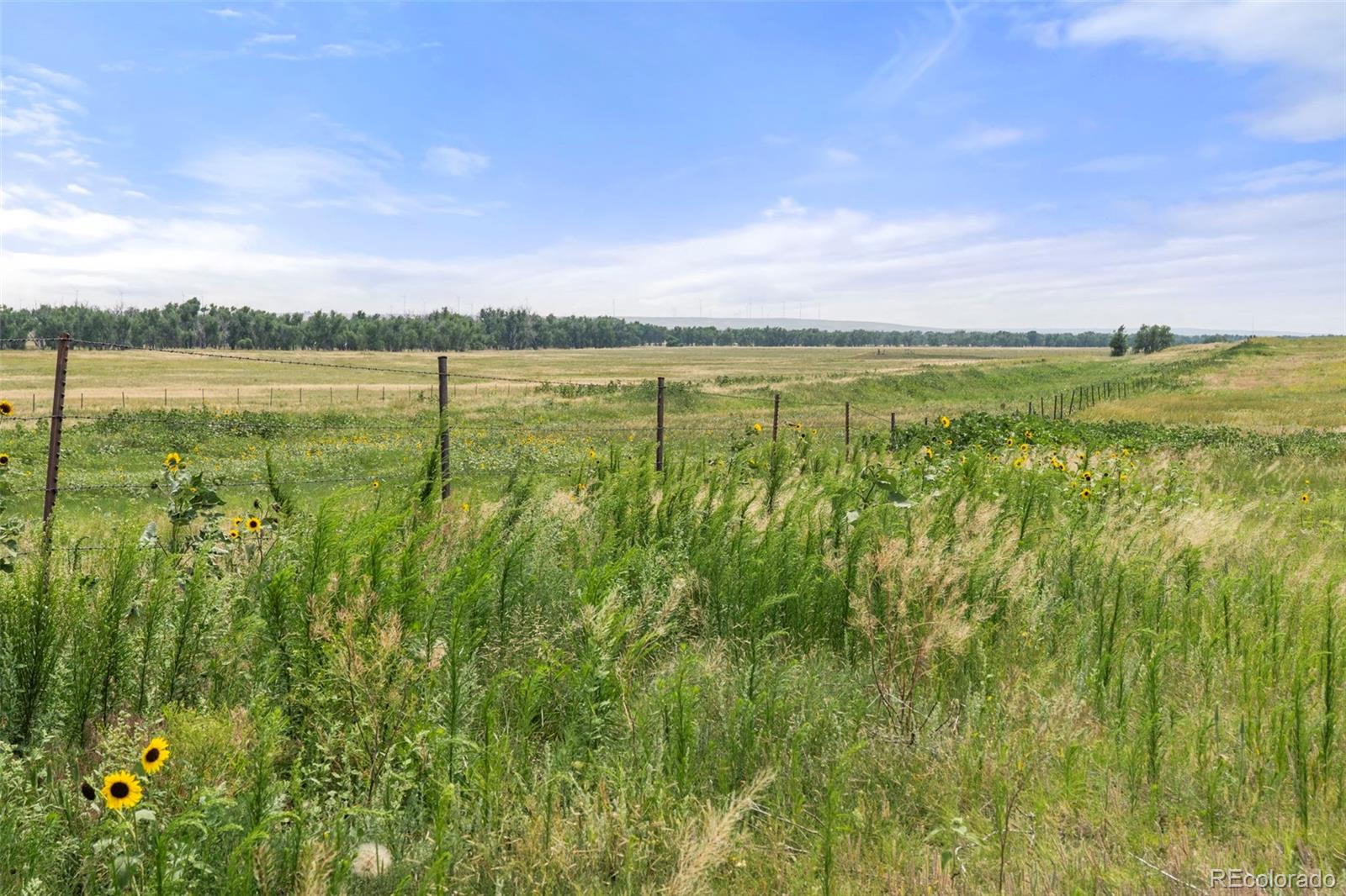0 Resolis Road Matheson, CO 80830 - Photo 47 of 49 a view of a city