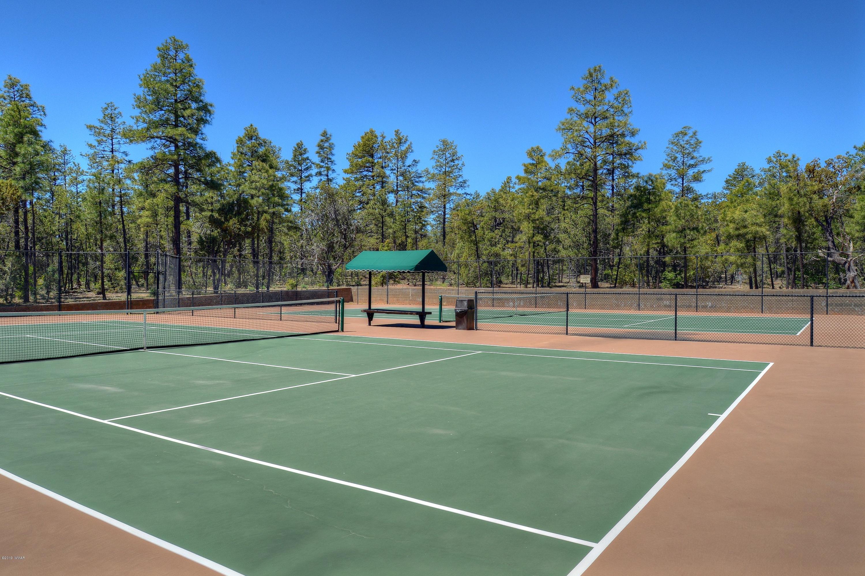 101 South Silktassel Road Show Low, AZ 85901 - Photo 50 of 50