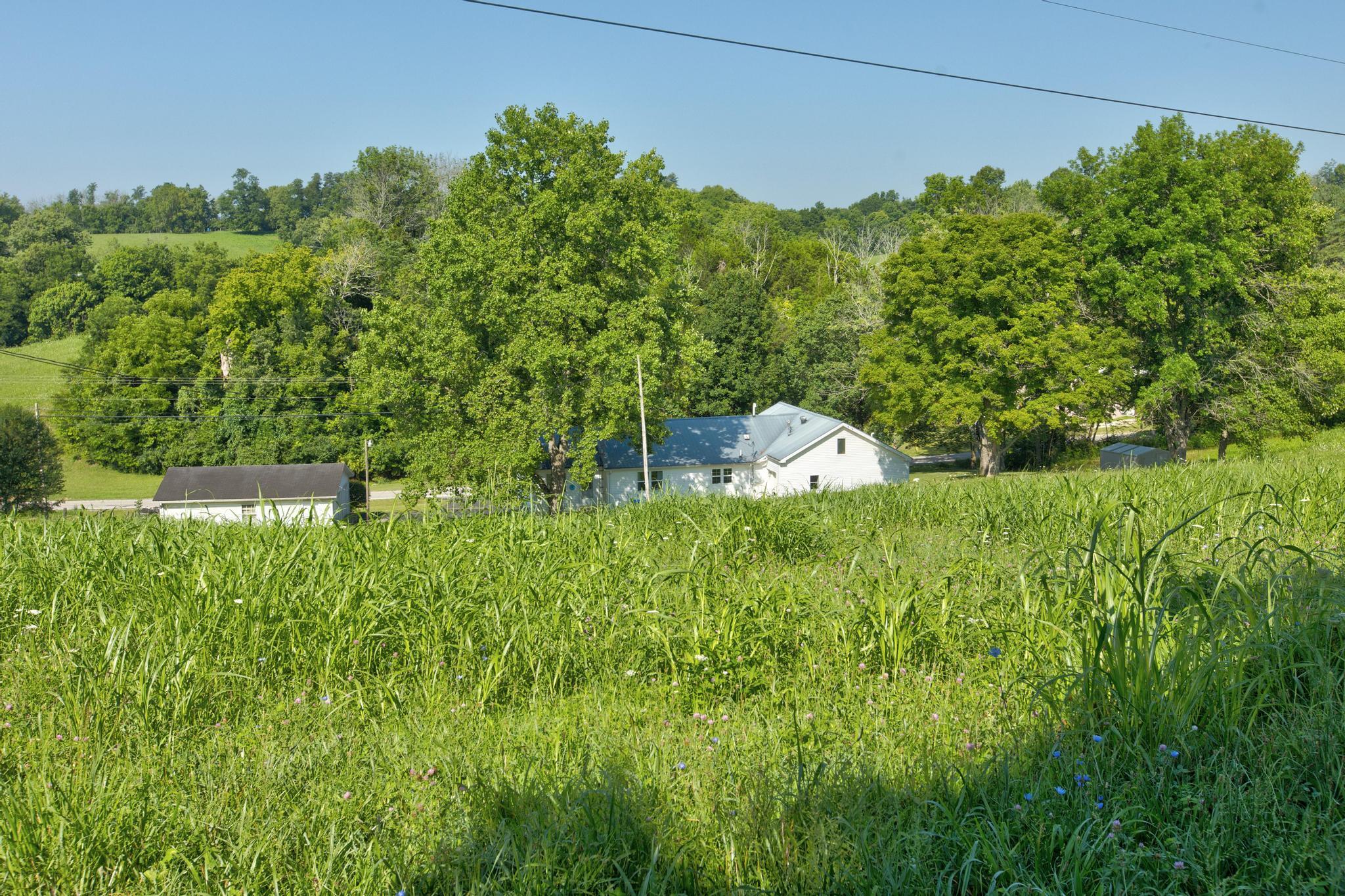 3833 Levee Road Mount Sterling, KY 40353 - Photo 38 of 41 FVR19242_3_4