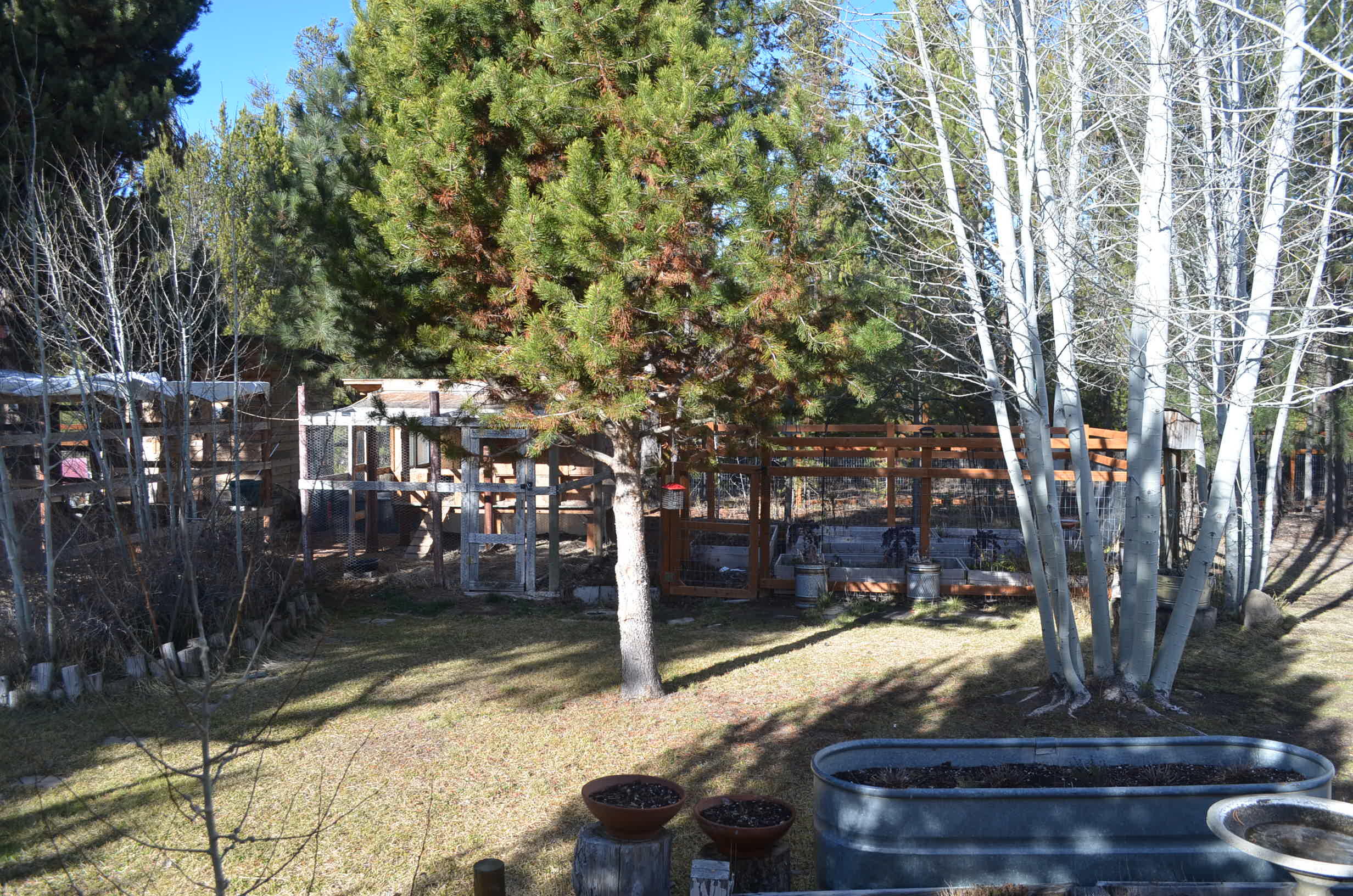 1233 North Airport Road Crescent, OR 97733 - Photo 35 of 52 DSC_0067