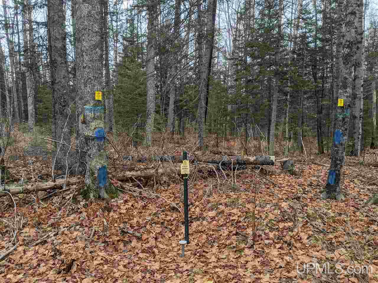 11851 Co Road Cornell, MI 49818 - Photo 45 of 49